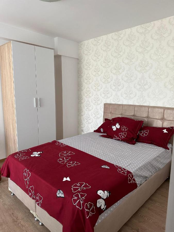 Apartament Adelin Năvodari Εξωτερικό φωτογραφία